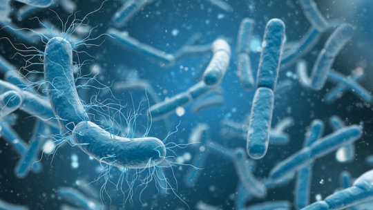 New class of antibiotics active against a wide range of bacteria