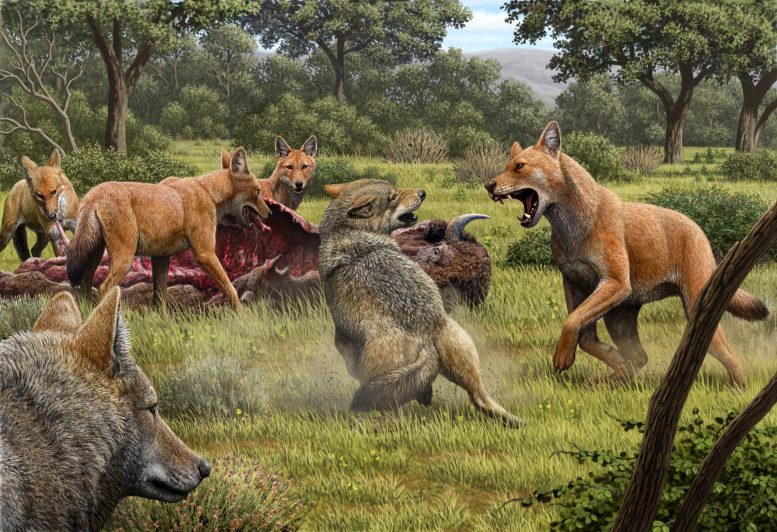 Ancient DNA Reveals Secrets of the “Terrifying” Dire Wolf – Famous From Game of Thrones