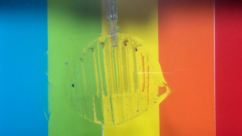 MIT Engineers Design Transparent, Gel-Based Robots