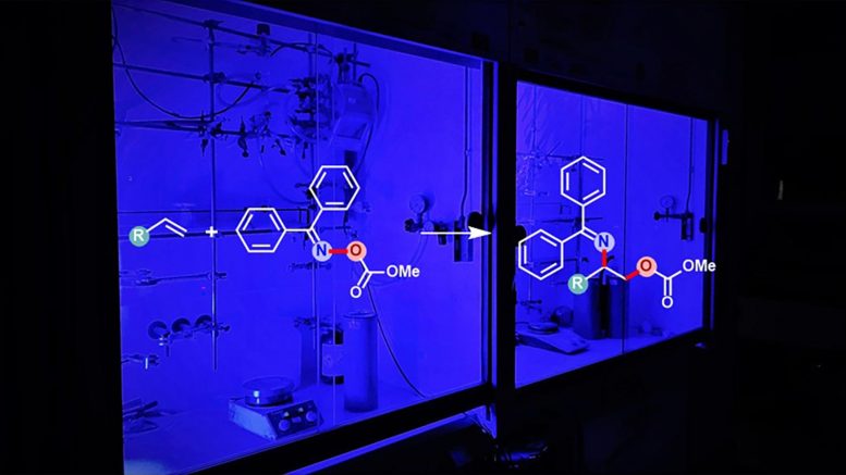 Chemists Succeed in Synthesis of Aminoalcohols by Utilizing Blue Light