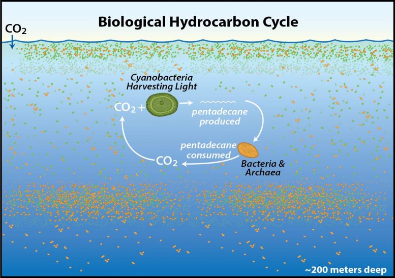 A Surprising Cycle: Researchers Discover an Immense Hydrocarbon Cycle in the World’s Ocean