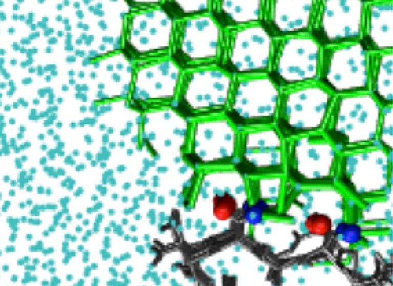 Natural Antifreeze: Ice-Binding Molecules Stop Ice Growth