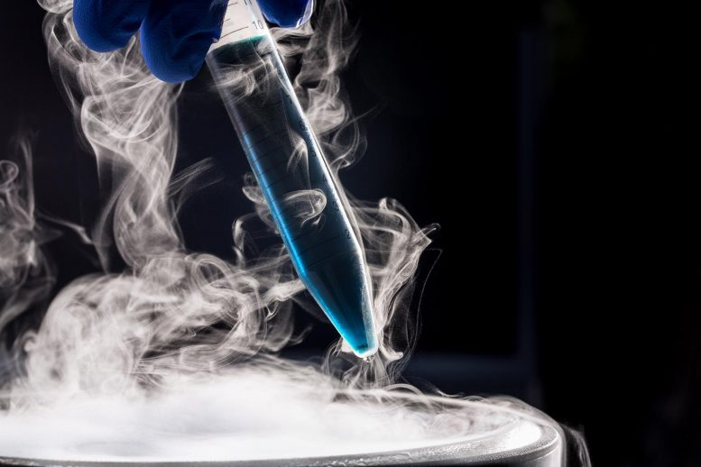 New Polymers Protect Cryogenically Preserved Cells From Damaging Ice Crystals