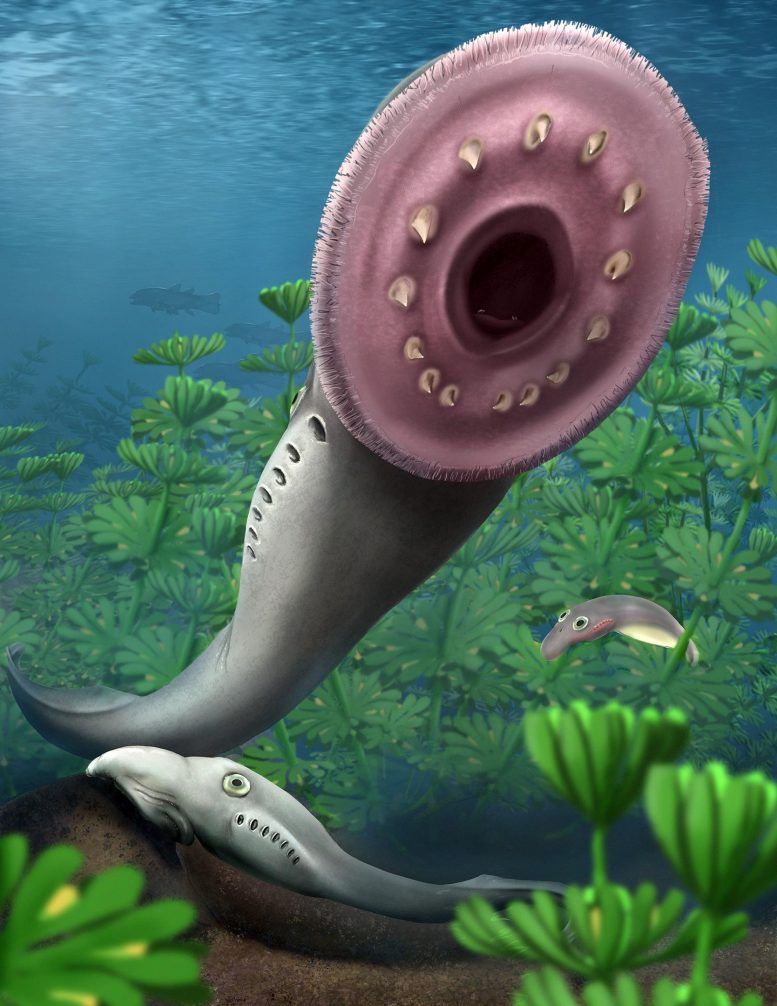 Fossilized Fish Larvae Discovery Challenges Long-Accepted Theory of Vertebrate Origin